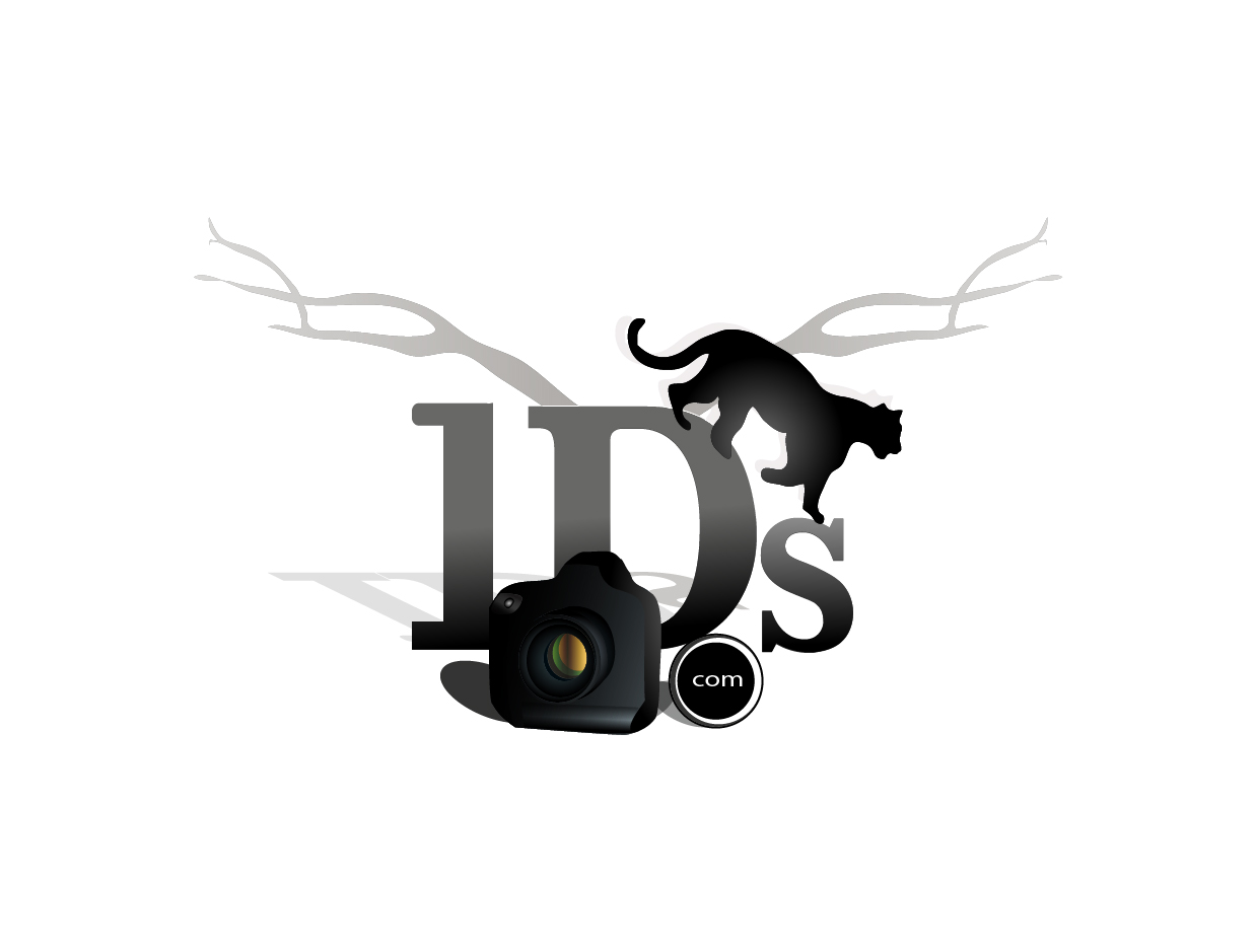 Logo Design by voltgain for this project | Design #700837