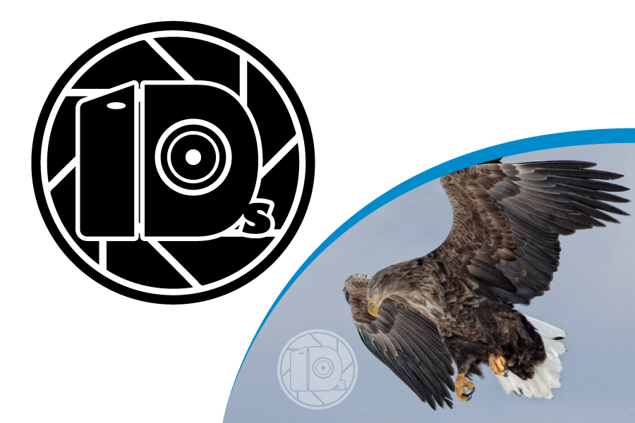 Logo Design by Almeida.Vector for this project | Design #692833