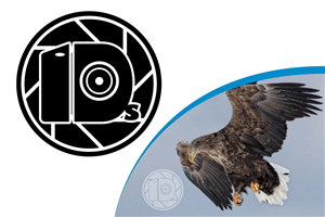 Logo Design by Almeida.Vector for this project | Design: #692833