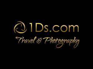 Logo Design by shadez for this project | Design: #694795