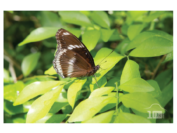 Logo Design by cre8corner.com for this project | Design #712247