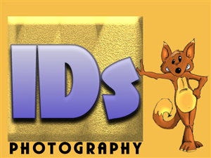 Logo Design by Mindanau.Corp for this project | Design: #695539