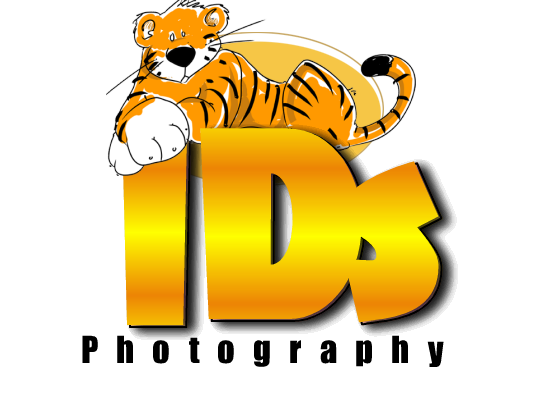 Logo Design by Mindanau.Corp for this project | Design #695548