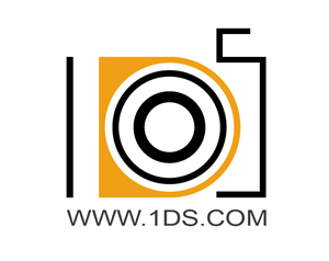 Logo Design by bizart