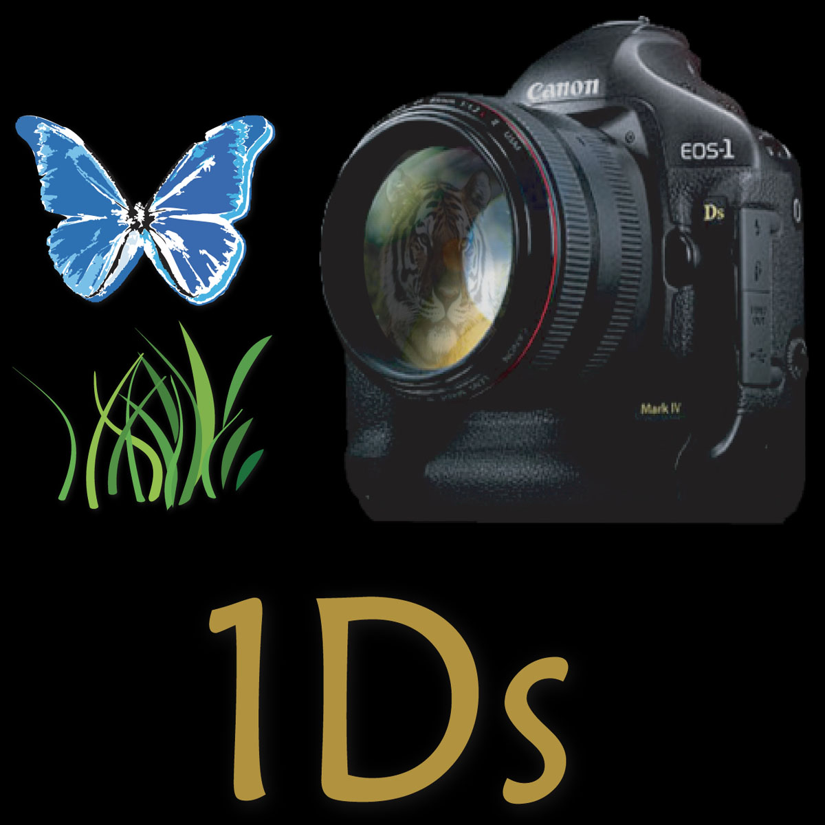 Logo-Design von Jami für dieses Projekt | Design #688462