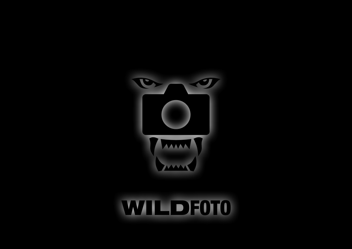 Logo Design by chomik8b for this project | Design #703787