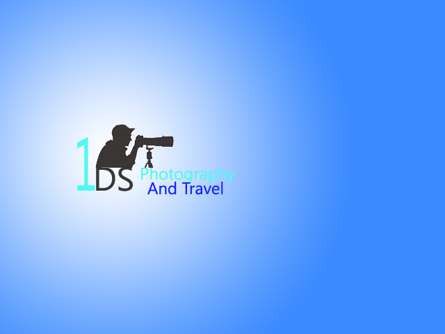 Diseño de Logo por xbraindesinger para este proyecto | Diseño #687968