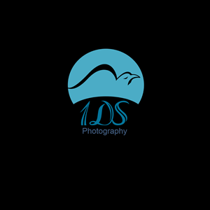 Logo Design by xbraindesinger for this project | Design: #688591