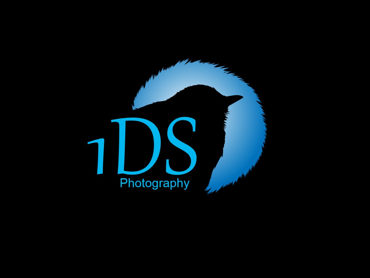 Diseño de Logo por xbraindesinger para este proyecto | Diseño #688664