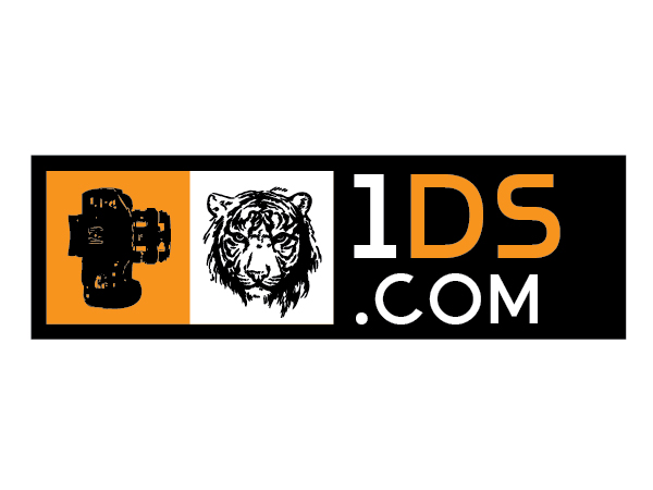 Logo Design by d unique design for this project | Design #704502