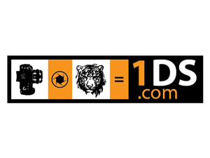 Logo Design by d unique design for this project | Design: #704508