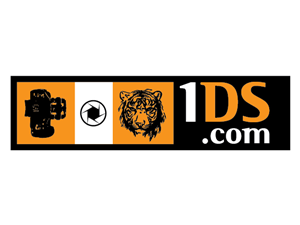 Logo Design by d unique design for this project | Design: #704533