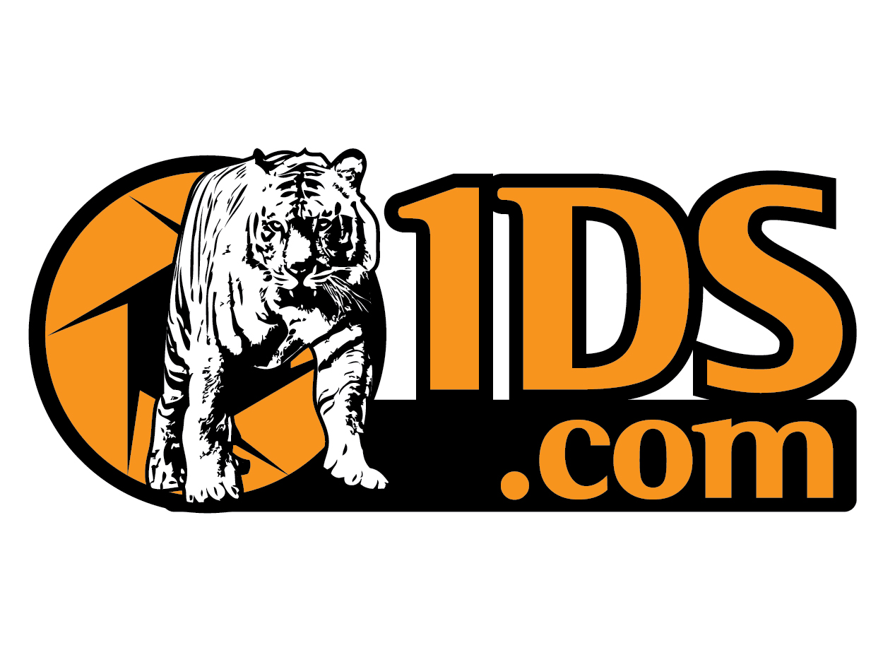 Logo Design by d unique design for this project | Design #704943