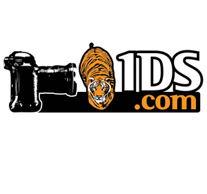 Logo Design by d unique design for this project | Design: #705104