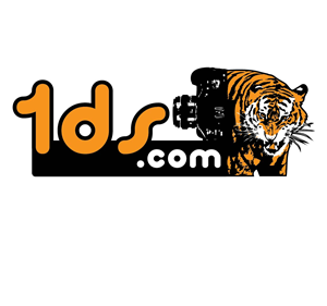 Logo Design by d unique design for this project | Design: #705134