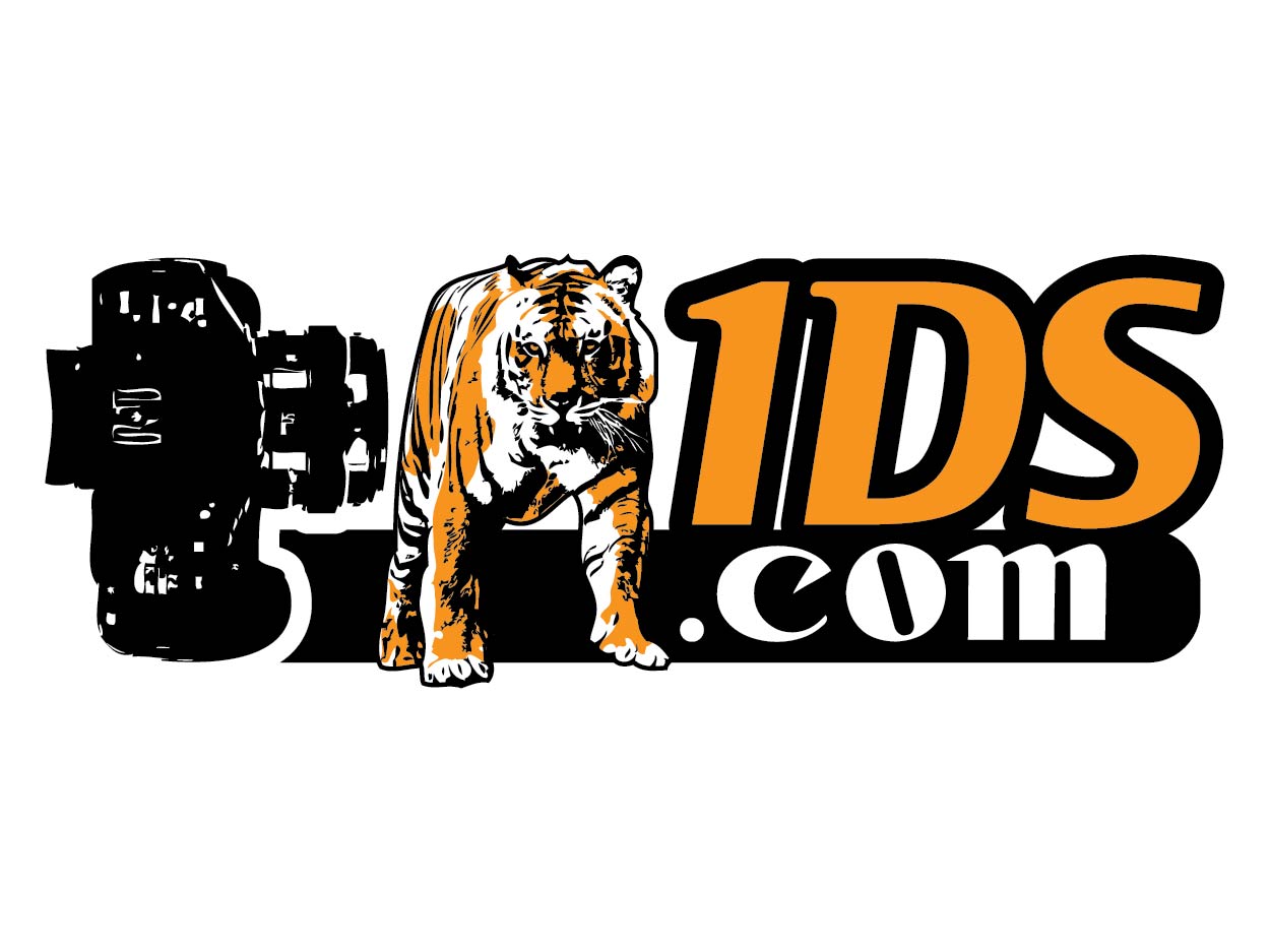 Logo Design by d unique design for this project | Design #705199