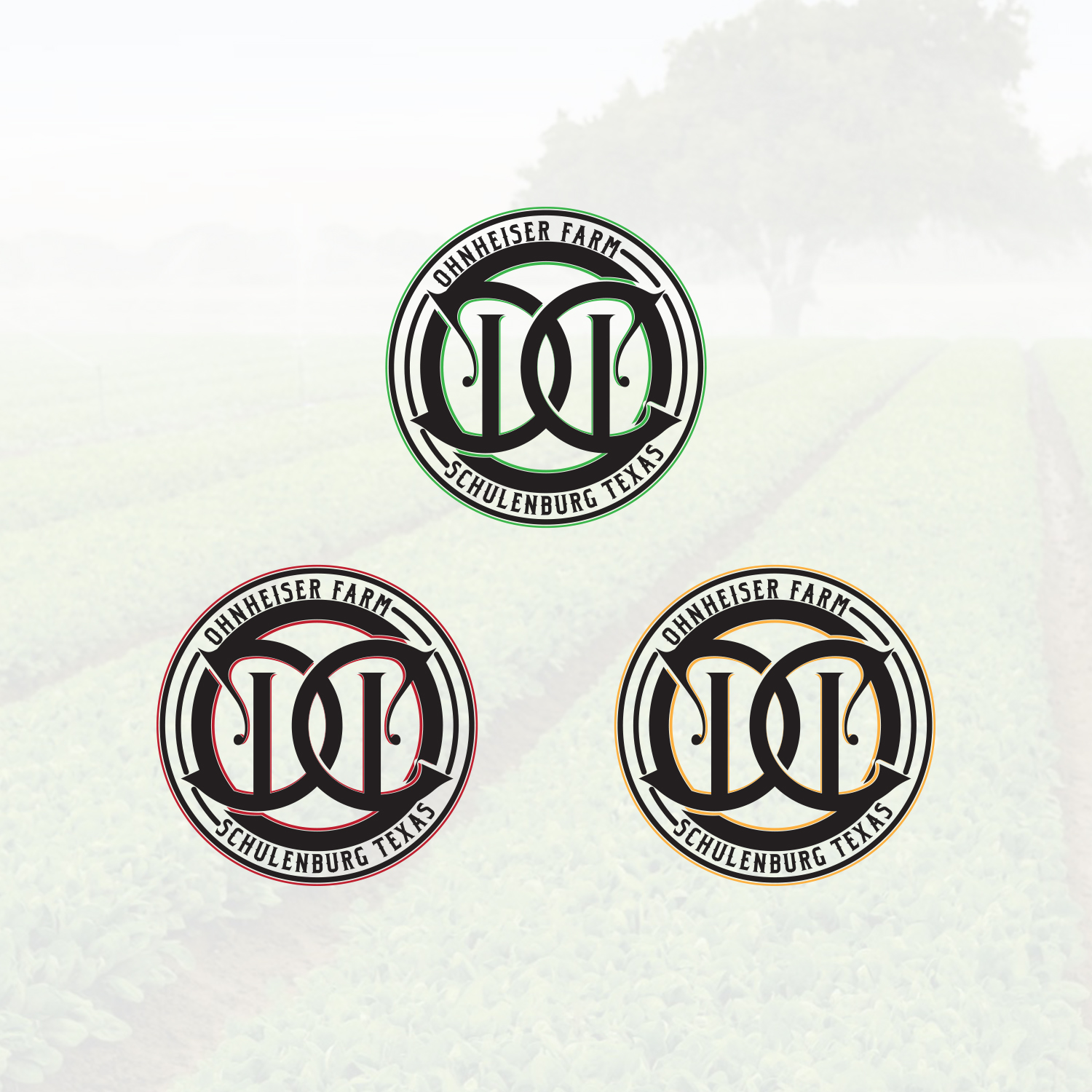 Logo Design by x for this project | Design #20484914