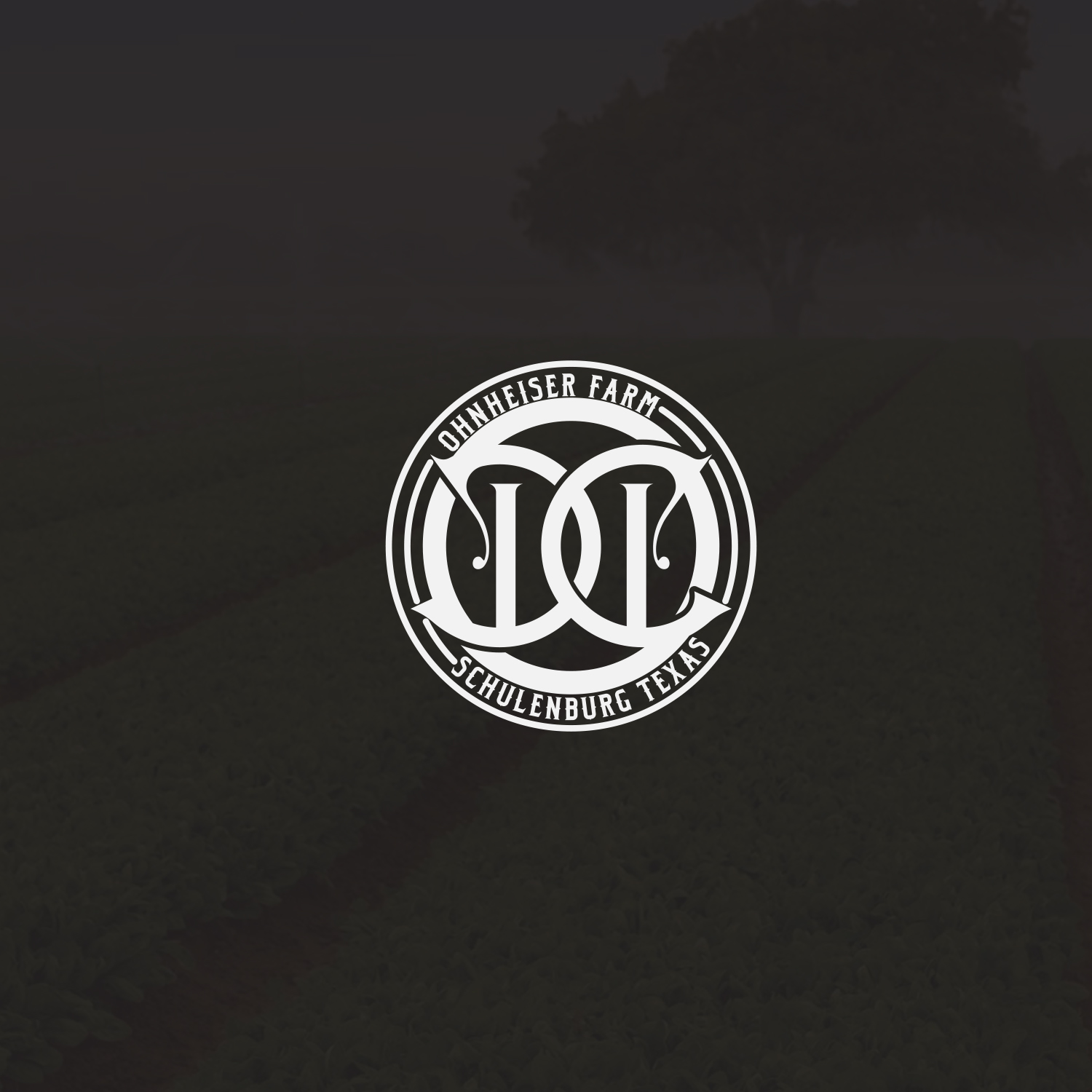 Logo Design by x for this project | Design #20484915