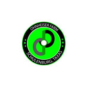 Logo Design by AbdoDesigner