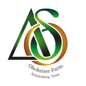 Logo Design by F.LEON2