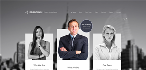 Wordpress Design by NessDesign
