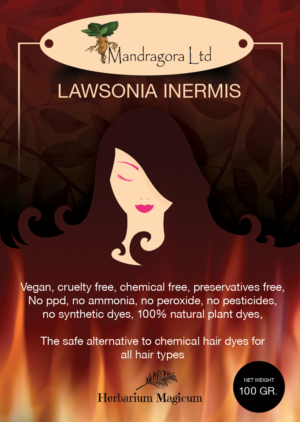 Graphic Design by uk for Henna's Bazar di Pica Daniele | Design: #20489438