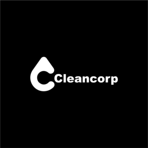 Logo Design by hane