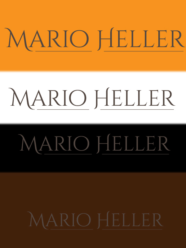 Diseño de Logo por Eleeza Creative 2 para este proyecto | Diseño #20495082