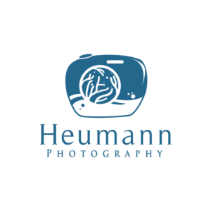 Logo Design by creative.bugs for this project | Design: #20504417