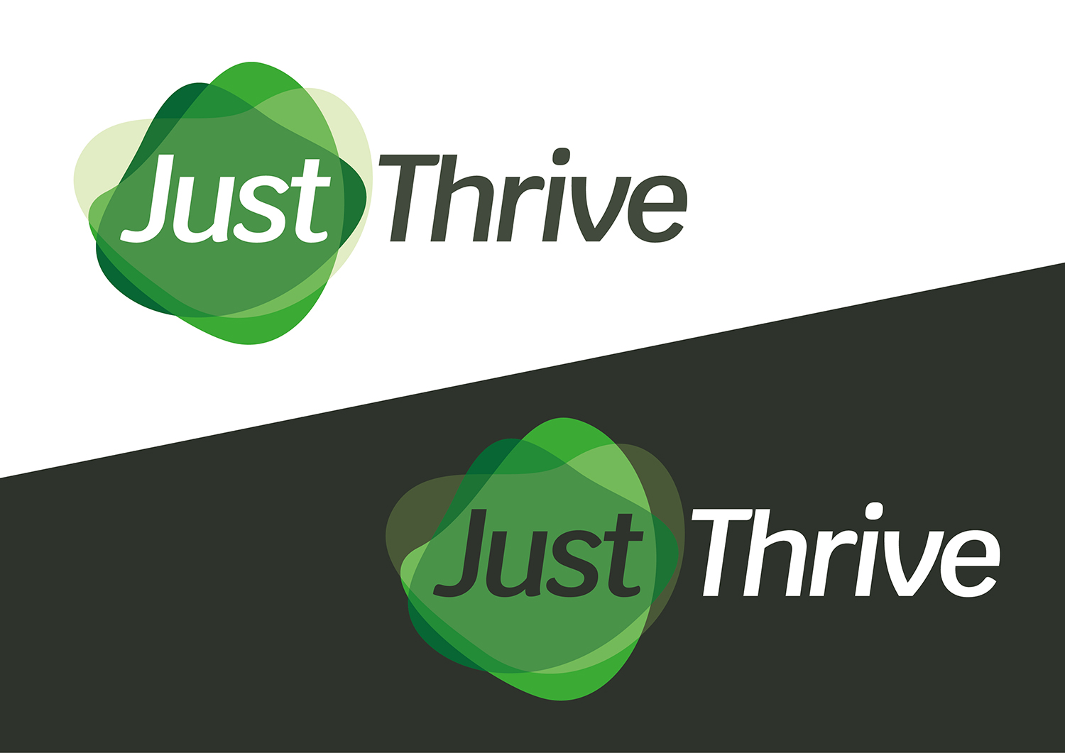 Logo Design by Channel Studio for this project | Design #20524626