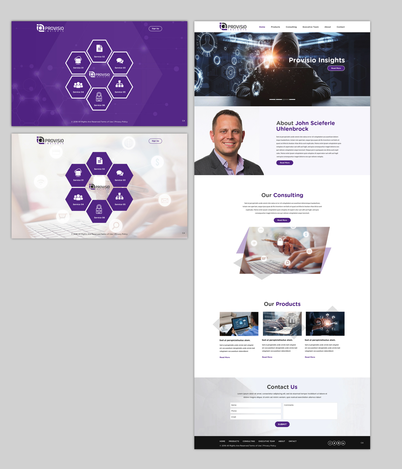 Web Design by pb for Provisio Insights, LLC. | Design #20505261