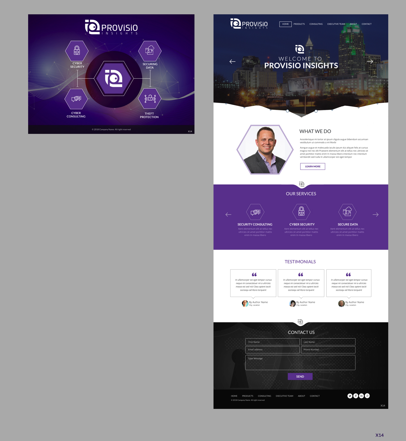 Web Design par pb pour Provisio Insights, LLC. | Design #20513780