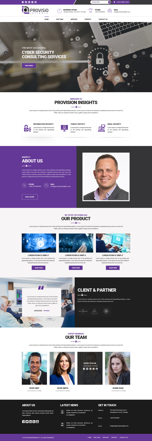 Web Design by Dream Logo Design for Provisio Insights, LLC. | Design #20531313