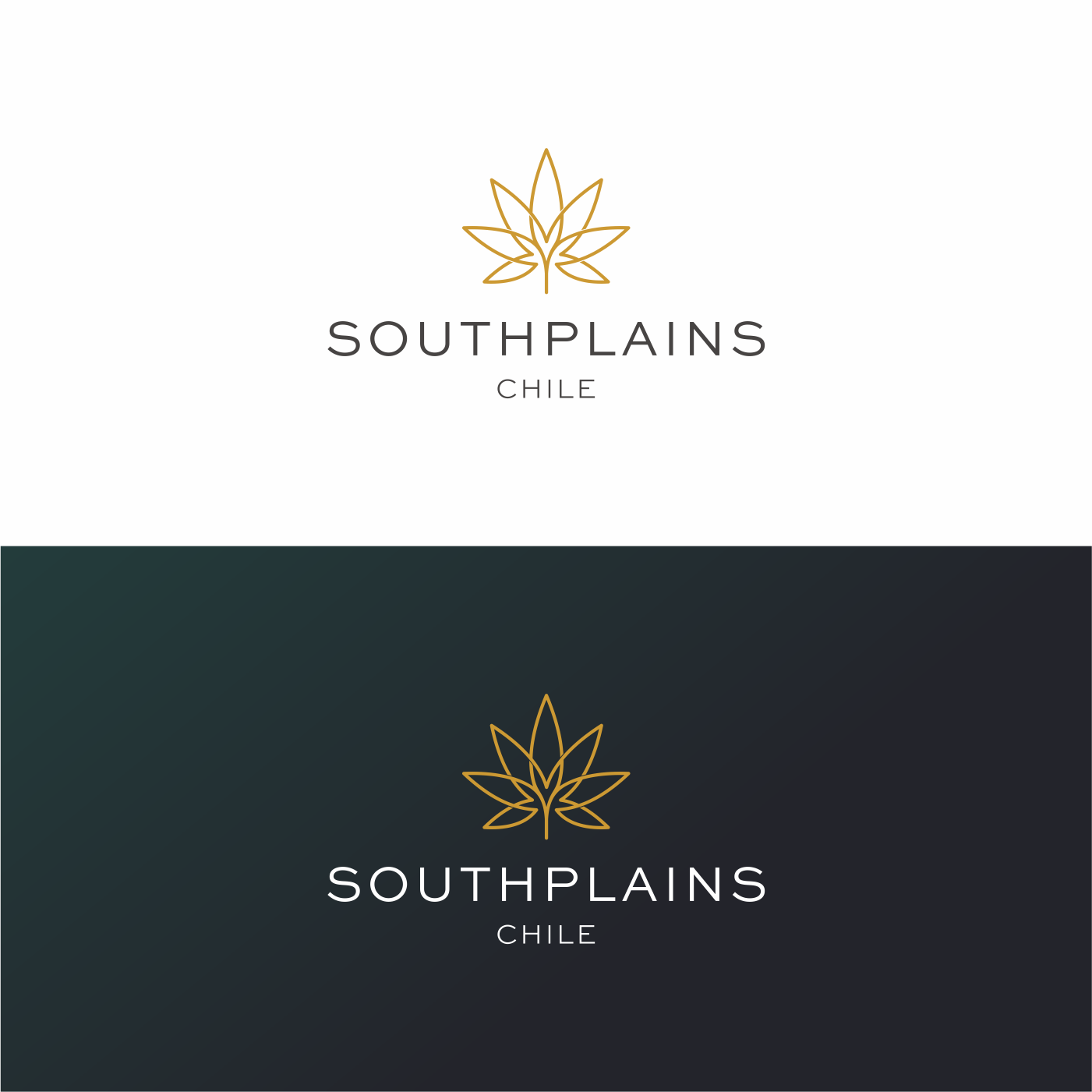 Logo Design by Gree™ for this project | Design #20510052
