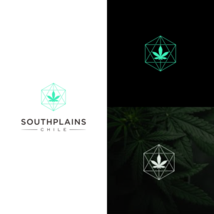 Logo Design by Mkey Designer for this project | Design: #20512640