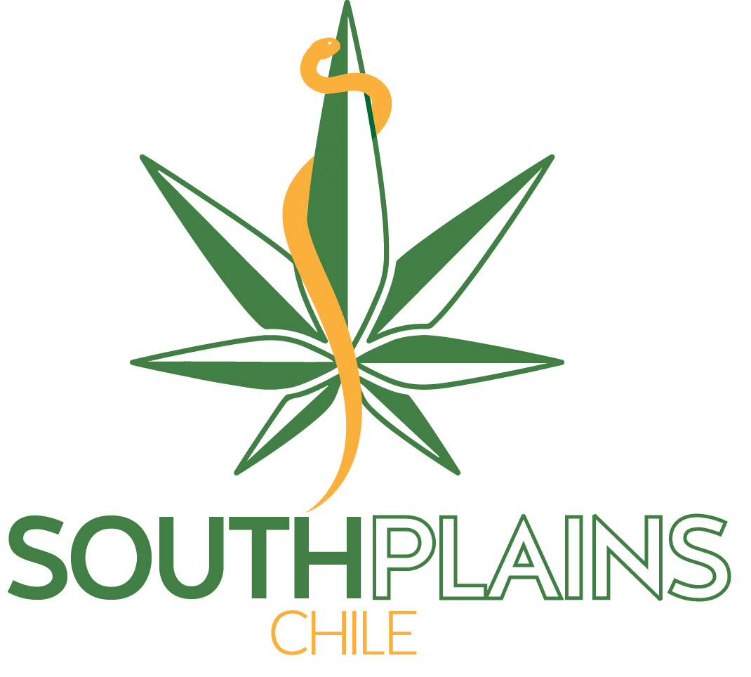 Diseño de Logo por ZAHK para este proyecto | Diseño #20508858