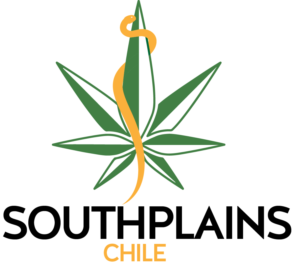 Diseño de Logo por ZAHK para este proyecto | Diseño: #20508860