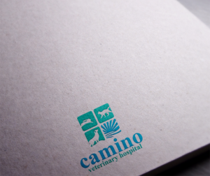 Compassionate care, exceptional medicine  | Logo Design by logo_s