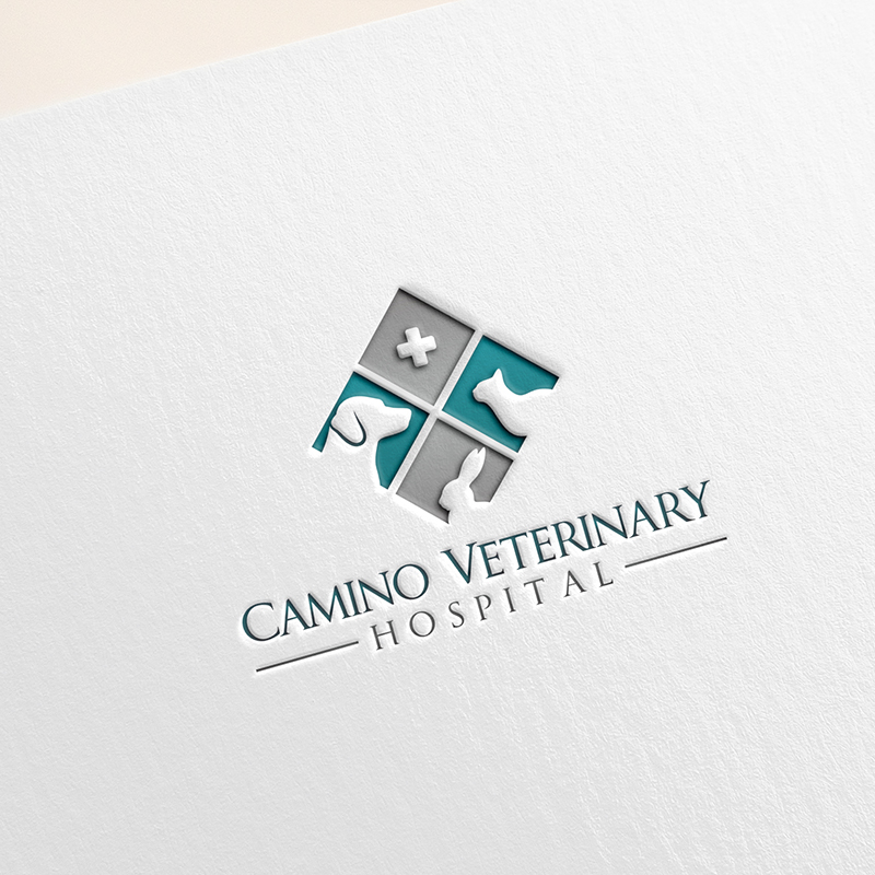 Logo Design by DesignNXT for this project | Design #20516062