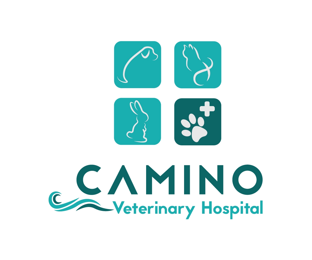 Logo Design by blackowl8 for this project | Design #20506444