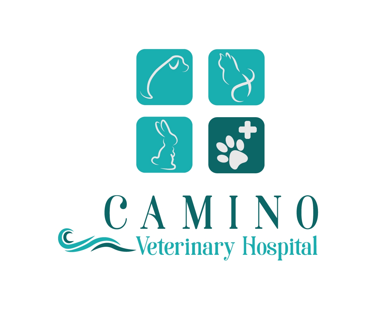 Logo Design by blackowl8 for this project | Design #20515157