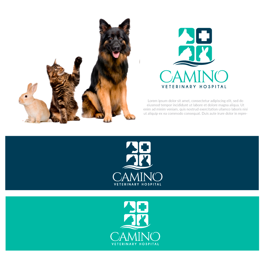 Logo Design by JoseDesign for this project | Design #20560012