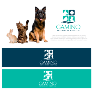 Compassionate care, exceptional medicine  | Logo Design by JoseDesign