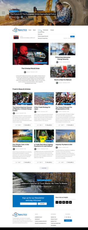 TLE Analytics, a data driven political consulting firm, Website | Web-Design von Da Miracle