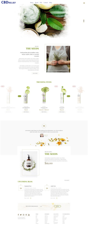 WordPress-Design von farins88 für dieses Projekt | Design: #20587621