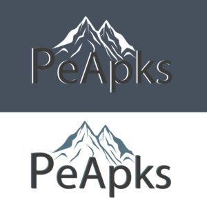 Logo Design by Emin 2