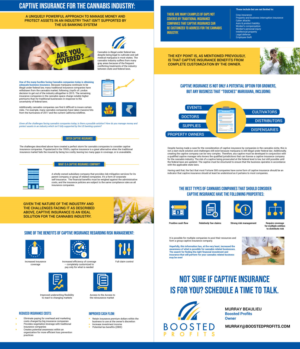 Infographic: Captive Insurance for the Cannabis Industry | Diseño Gráfico por DesignerGuide
