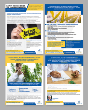 Infographic: Captive Insurance for the Cannabis Industry | Graphic Design by Aurora:)