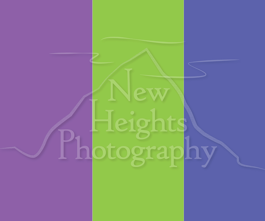 Logo Design by Kat for this project | Design #2935269