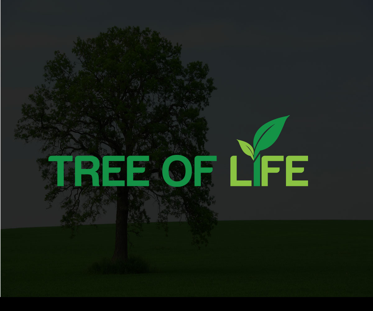 Logo Design by Md Amran Hossain for WIRELINKED, LLC. | Design #20545358